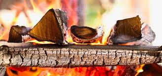 Wood Can You Not Burn In A Log Burner