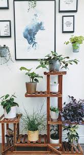 Easy House Plant Display Ideas The