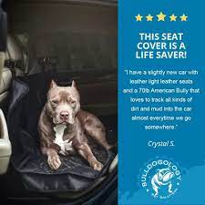Dog Car Seat Covers Back Seat Dog