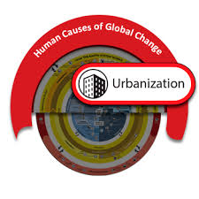 Urbanization Understanding Global Change