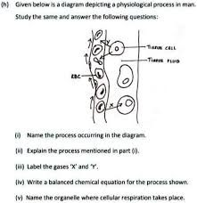 Given Below Is A Diagram Depicting A