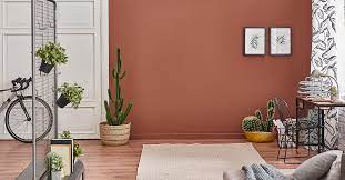 Wall Colours For Indoor Plants