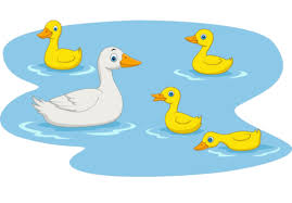 Duck Family Vector Art Png Images