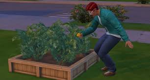 The Sims 4 Gardening Skill Plant