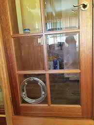 Cat Flap Small Dog Door