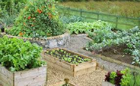 The Benefits Of Raised Bed Gardening