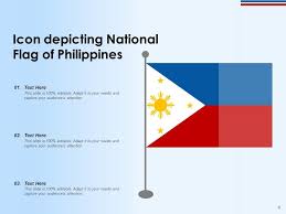 Philippines National Flag Hand Painted