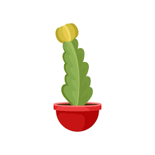 Long Green Cactus In Small Red Ceramic