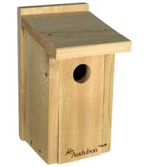 Audubon Cedar Bluebird House Wilco