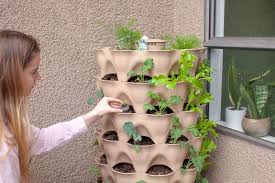 Vertical Garden In Your Balcony