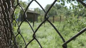 Steel Wire Lattice Fence On Background