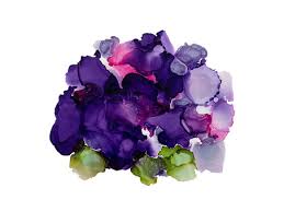 Hydrangea Purple Flower Icon Rainy
