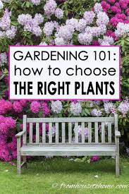 Best Plants For Your Garden