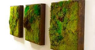 Moss Walls The Interior Design Trend