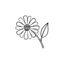Daisy Flower Hand Drawn Outline Doodle