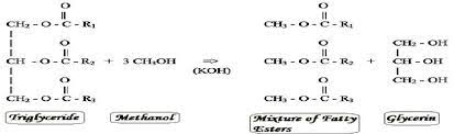 Chemical Reaction Of