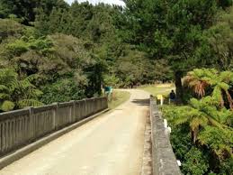 Our Adventures Wild Taranaki