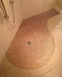 Handicap Accessible Roll In Shower Pans