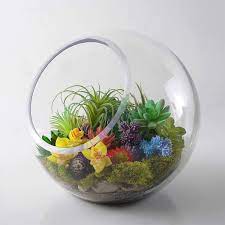 Decorative Glass Terrarium Slant Cut