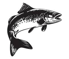 Trout Fish Vector Art Icons And