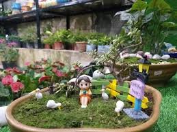 Doll Miniature Garden At Rs 499 Piece