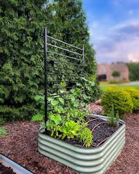 A Complete Review Of Vego Garden Beds
