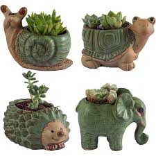 Cubilan Small Succulent Pots With