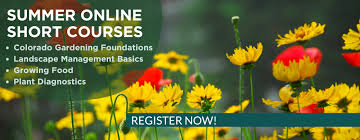Colorado Master Gardener Providing