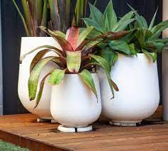 Outdoor Garden Pots Designer Pots