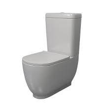 Icon Combination Close Coupled Toilet