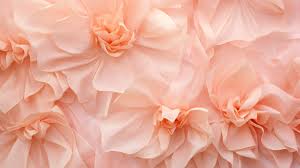 Peach Colored Petal Texture Background