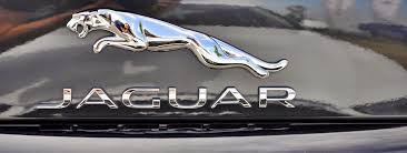 The Jaguar Symbol History Of The