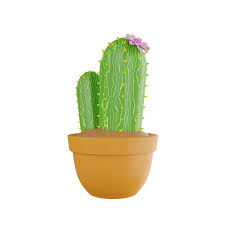 Cactus Plant 3d Icon In Png