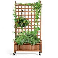 Large 50 In H Natural Firwood Planter Box With Trellis Mobile Raised Bed For Climbing Plant