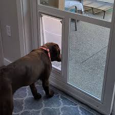 Sliding Glass Door With Built In Dog