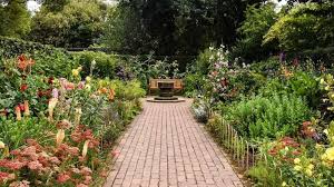 How To Plan Your Dream Garden