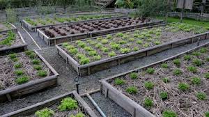 Community Kitchen Garden Raised Garden