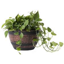 Half Barrel Flower Garden Planter Bowl