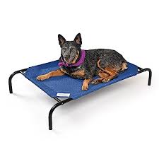 11 Superior Elevated Dog Bed For 2024