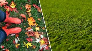 Fall Care Tips For Your Bermuda Grass Lawn