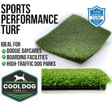 Dog Park Turf Cool Dog Turf