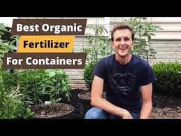 Best Organic Fertilizer For Container
