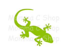Chameleon Gecko Lizard Svg Reptile
