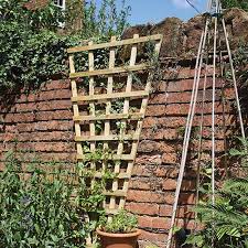 Sy Fan Trellis John Grimes Fencing