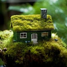 Moss Covered House Sitting