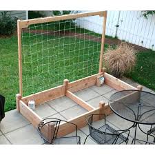 Garden Bed Trellis Backyard Garden