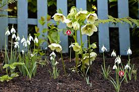 Winter Garden Ideas Garden Gate