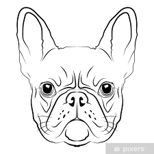 Wall Mural French Bulldog Head Logo Or