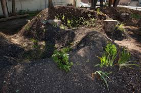 Build Raised Permaculture Garden Beds