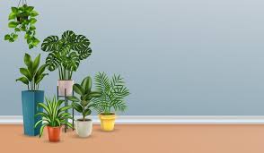 Room With Plants Vectors